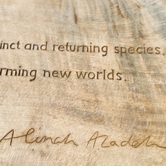 The Four Directions - Alinah Azadeh