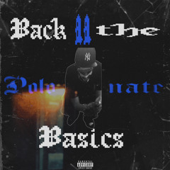 Back 2 The Basics - polonatee