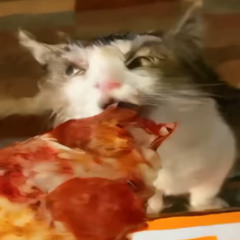 Che + Prettifun type beat - PEPPERONI