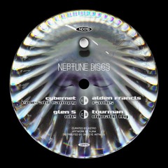 PREMIERE: Aiden Francis - Fanks [Neptune Discs]