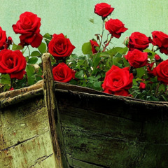 Летний мотив