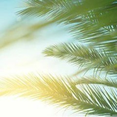 Breeze 0.9