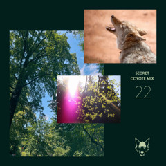 Secret Coyote Mix // 22