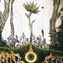 MidlePoint - Seres Da Floresta _ O Canto Dos Pássaros.