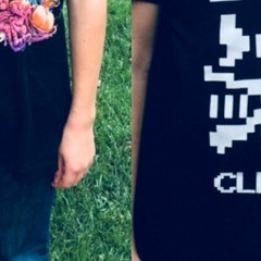 Weezer Ain't Nuthin (Bloodhound Gang/ Wu- Tang Mash-Up [cover by mud E])