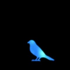 الطائر الازرق II ناروتو شيبودن