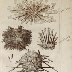 hk_fantaisies_tracks_399