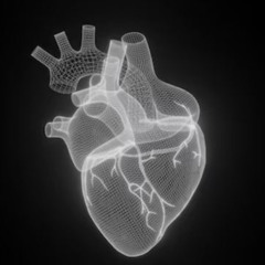 SISTEMA CARDIOVASCULAR
