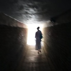 The inner boundary (The narrow Gate) / La porta stretta