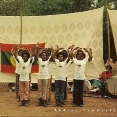 Amoo_Goobanaa_-_Yoo_walii_galan_alaa_galan_-_ Tummee_Album_(Cush_Africa_Oromo_Music)