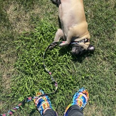 ALIEN BUTT ROCK (demo)