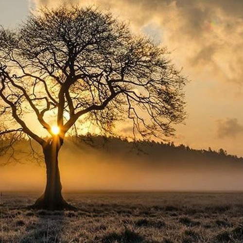 Eretz Yisrael - Are you Humble Enough to Learn from the Torah of Mistakes