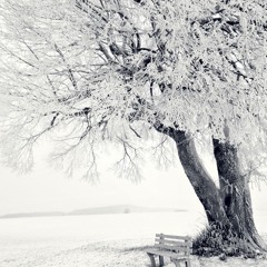 ALL the harmonies...