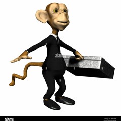 Mozart: Funeral For A Monkey