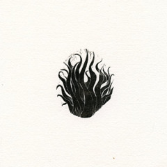 Fuego fatuo
