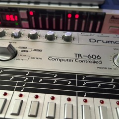 I Bought a TR 606