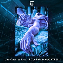 Undefined. & Fysc. - I Got This Acid [INNERGATE | FREE DL]