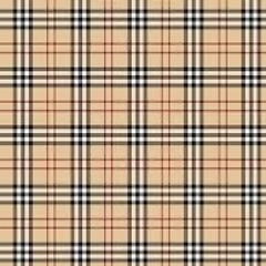 MC 🎤 🎙️ 🐊