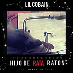 HIJO DE RATA RATON
