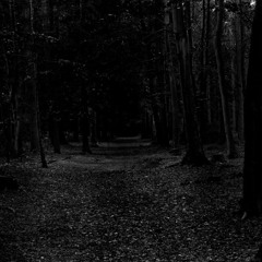 CALLINOUTFORSOMEONE.mp3