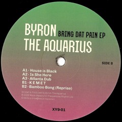 XY9-01 / Byron the Aquarius - Bring Dat Pain EP