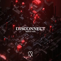 SPOT & Nate - Disconnect