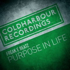 Freak E Beatz - Purpose In Life