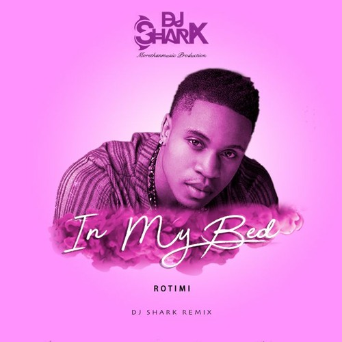 Dj Shark - In My Bed (Remix)