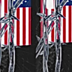 american venom (prod. Boi Yanel)