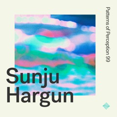 Patterns of Perception 99 - Sunju Hargun
