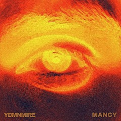 YDMNMIRE