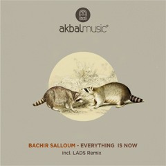 PREMIERE : Bachir Salloum - Sunflower Fields (LADS Remix) [Akbal Music]