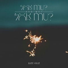 Zor Mu ? - Batu Onat (Remix)