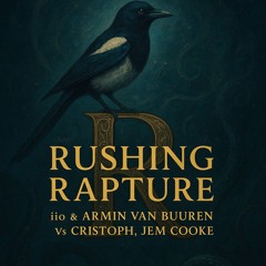 iio & Armin van Buuren Vs Cristoph, Jem Cooke - Rushing Rapture -  Rigalla Mashup