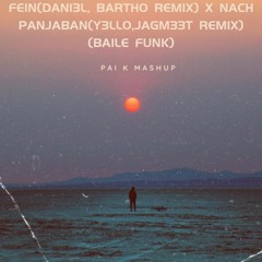 FEIN(DANI3L, BARTHO REMIX) X NACH PANJABAN(Y3LLO,JAGM33T REMIX)(Pai K Mashup) ( Baile Funk)(Free DL)