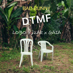 Bad Bunnny - DTMF (LOBO x J2Ar x GAIA ) edit
