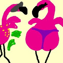 Bottle Poppin' Flamingos!