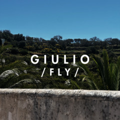 Fly
