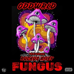 FUNGUS (Feat. RuckusRiley)