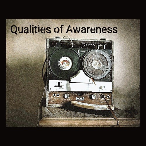Qualities of Awareness - You can kill me(triphop).mp3