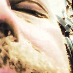 Devils Under The Ice