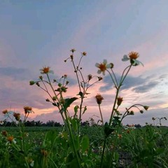 End of Summer ft. Gelato & Sturryberry