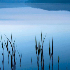 the script-  the man who can't be moved  piano cover