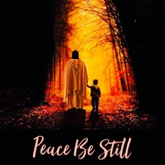 PEACE BE STILL Ministry Experience
