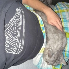 ogshurik feat. gabig - ich bin ein fein