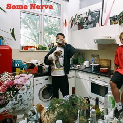 Some Nerve