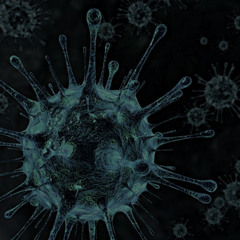 Live China Street Ghent