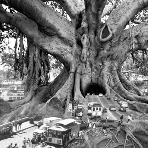 Decepticons ‎– The Beast (The Great Beast)