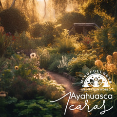 Ayahuasquero