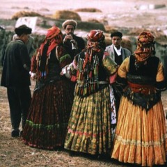 Nazê Nêrgiza Hewşê - Mehmûd Berazî | Hunergeha Welat